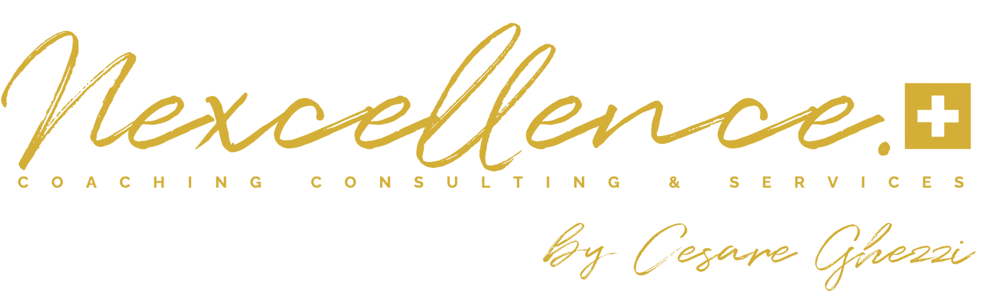 Logo Nexcellence par Cesare Ghezzi